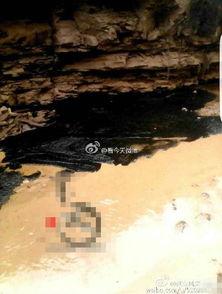 延安油田爆料最新消息今天,最新勘探成果助力能源产业新突破 第1张 延安油田爆料最新消息今天,最新勘探成果助力能源产业新突破 第1张